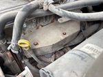 Engine with Exhaust System