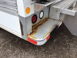 General Appearance with Paint
