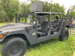 General Appearance with Paint