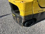 General Appearance with Paint