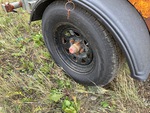 Chassis Photos with