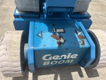 General Appearance with Paint