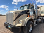 General Appearance with Paint