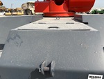 General Appearance with Paint