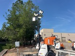Electrical with Light Tower Mast