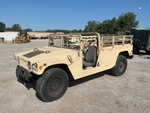 General Appearance with Paint