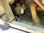 Engine with Exhaust System