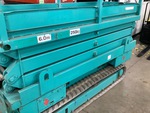 General Appearance with Paint