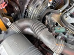 Engine with Exhaust System