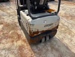 General Appearance with Paint