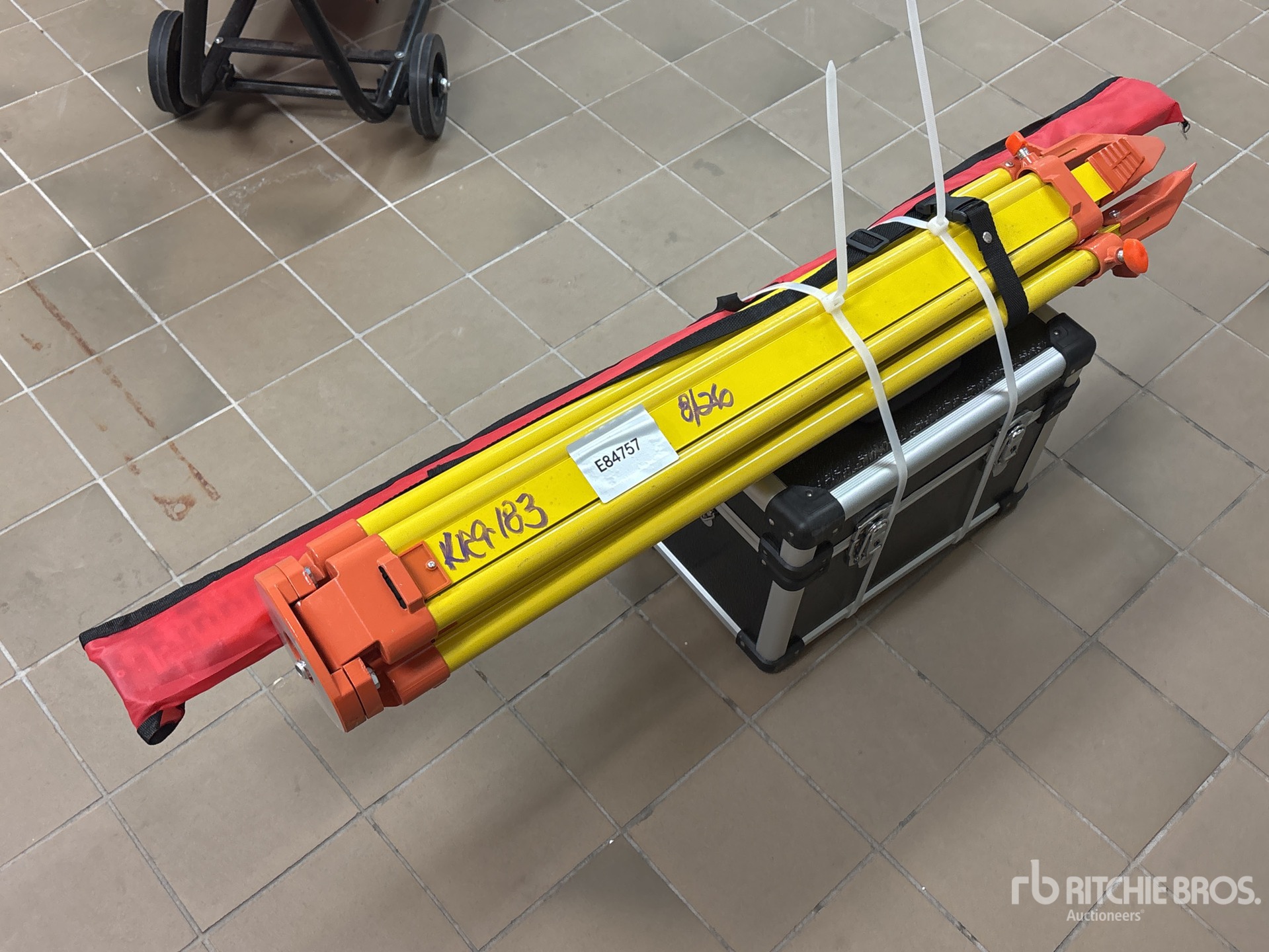 General Appearance with Zdjęcie, prawy górny róg