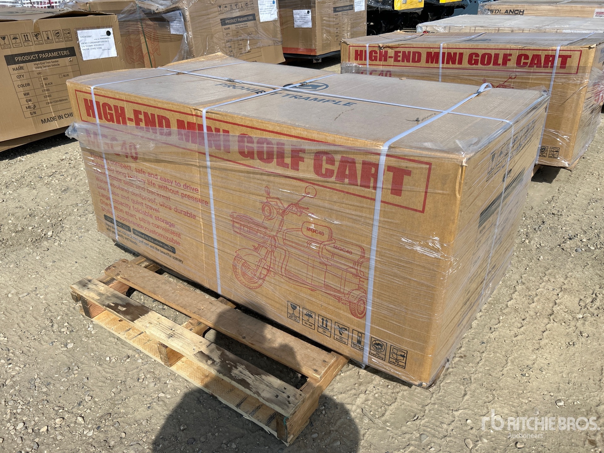 General Appearance with Picture, Right Rear Corner