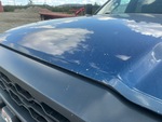 General Appearance with Paint