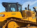General Appearance with Paint