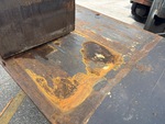 General Appearance with Paint