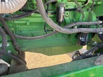 Engine with Oil Leaks