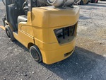 General Appearance with Paint