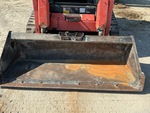 General Appearance with Paint