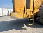 General Appearance with Paint