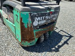 General Appearance with Paint