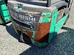 General Appearance with Paint