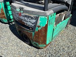 General Appearance with Paint