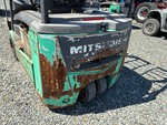 General Appearance with Paint