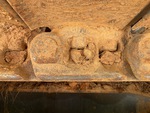 Undercarriage with Left Track Links