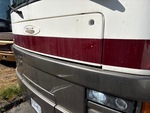 General Appearance with Paint