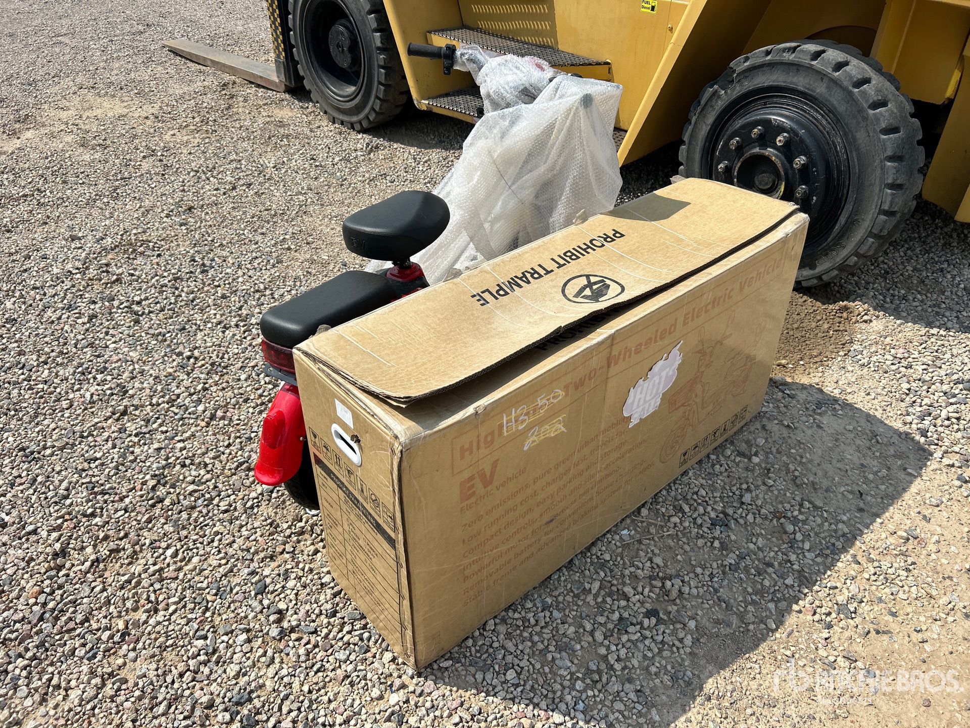 General Appearance with Image, coin arrière droit
