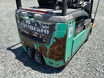General Appearance with Paint