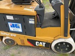 General Appearance with Paint