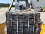 General Appearance with Paint