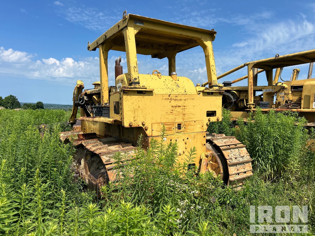 General Appearance with Zdjęcie, lewy dolny róg