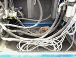 Hydraulics with Hoses (Hydraulic)