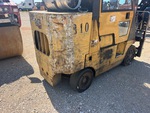 General Appearance with Paint