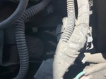 Engine with Oil Leaks