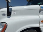 General Appearance with Paint
