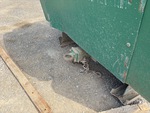 Carrier with Tongue/ Hitch Condition