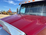 General Appearance with Paint