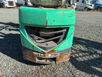 General Appearance with Paint
