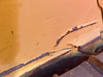 General Appearance with Paint