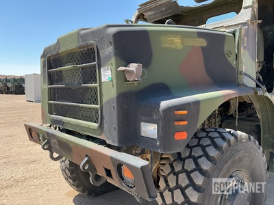 General Appearance with Paint