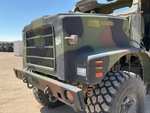 General Appearance with Paint