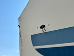 Exterior with