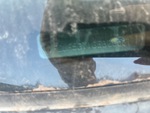 General Appearance with Frame Stamp Serial Number/VIN Photo