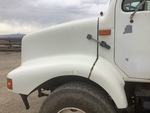 General Appearance with Pintura