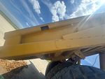 General Appearance with Paint