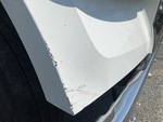 General Appearance with Pintura
