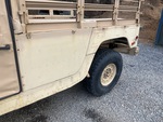 General Appearance with Paint